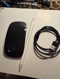 Magic mouse apple pencil