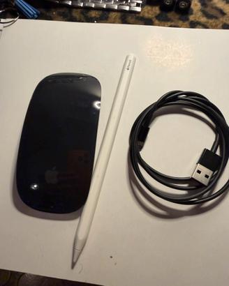 Magic mouse apple pencil