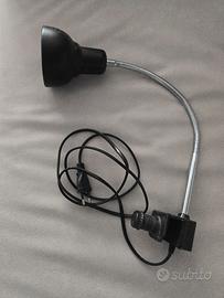 lampada uv per tartarughe