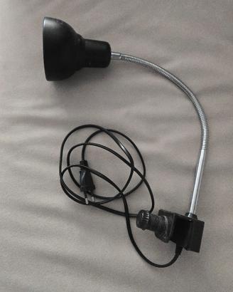 lampada uv per tartarughe