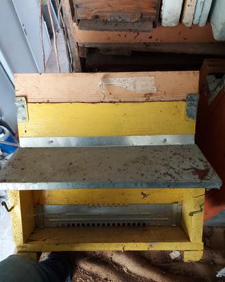 Arnie a portichetto e Cubo