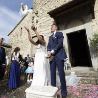 Colombe bianche pavoncelle per matrimonio