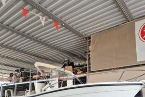 Tuccoli T19 Moby Dick F.B +Jhonson 70+Jhonson 5cv