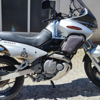 Suzuki xf650 enduro