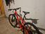 Immagine 2