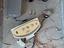 Immagine 1
