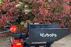 M175- Motocarriola Kubota