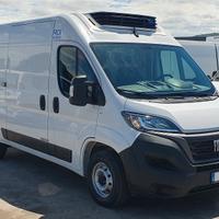 FIAT Ducato 2.2 MJ-3 140CV MH2 FRIGO -20° CAM 2023