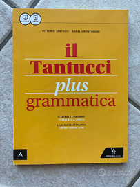 Il tantucci plus grammatica