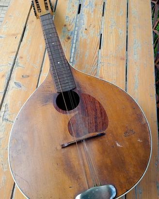 Mandola/Waldzither  