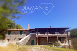 Azienda agricola di 13 ettari con casale in pietra