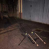 2 canne da carpfishing