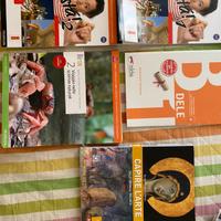 Libri scolastici linguistico