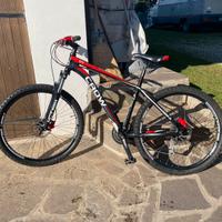 Bici mountainbike