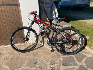 Bici mountainbike