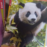 21 quaderni a righe da terza elementare 