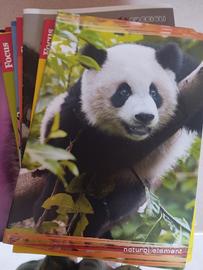 21 quaderni a righe da terza elementare 