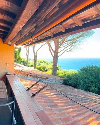 Appartamento di 36 m² con 2 locali a Monte Argenta