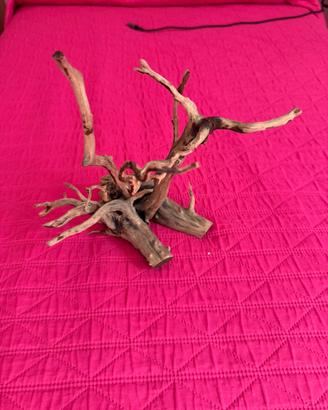Legno per acquario cm 23