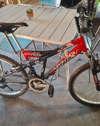 bicicletta