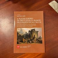 Libro a cura del Prof. Matteo Corti