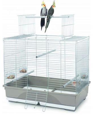 gabbia per pappagalli iMac wilma