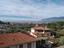 Immagine 8