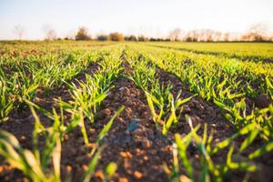 Terreno di 2750 m² a Napoli