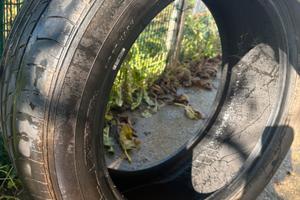 Pneumatici nfrea su1 21555r17 94v