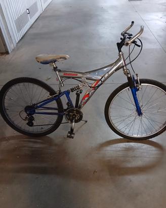 Bicicletta ragazzo