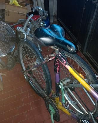 bici da città  