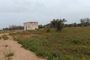 Vendita terreno con progetto approvato