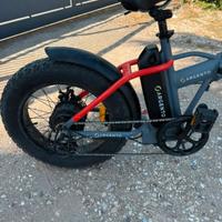 bicicletta elettrica 