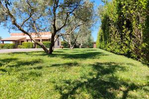 Casa l'olivo Pescia Romana