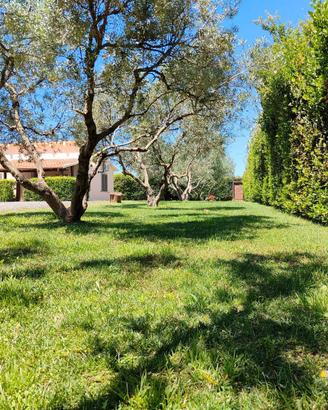 Casa l'olivo Pescia Romana