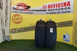 2 Pneumatici 2055516 Dayton invernali al 85%'20