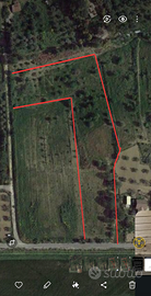 Terreno agricolo 8.600 m²