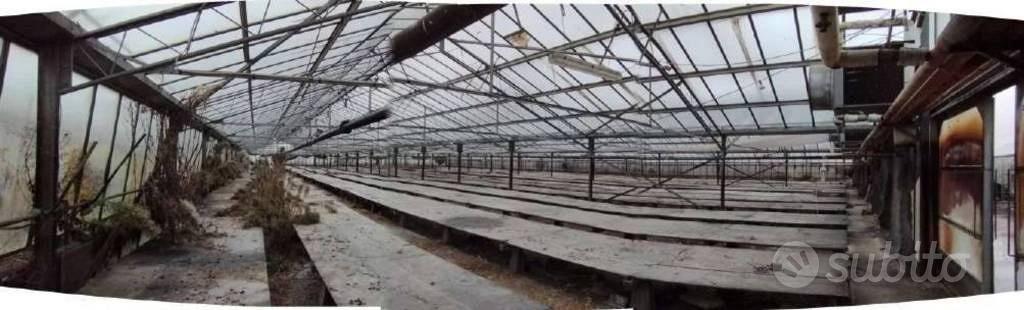 Immobile in asta di 19930 m² a Montevarchi - Vista 5