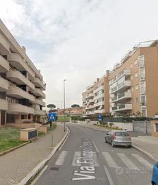 Tor sapienza stanza ad uso singolo