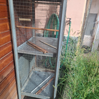 Gabbia per uccelli