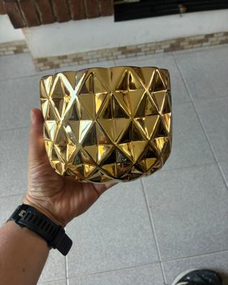 Contenitore o vaso