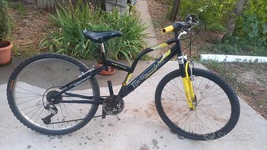 mountain bike