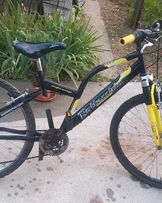 mountain bike