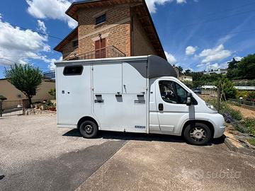 Van trasporto cavalli