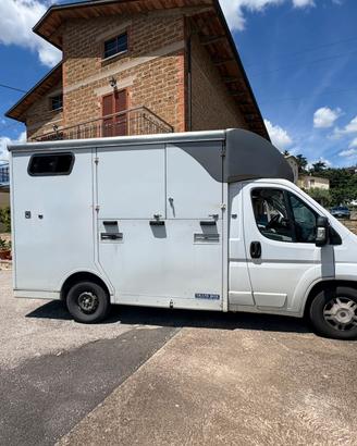 Van trasporto cavalli