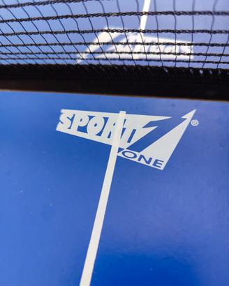 Tavolo da ping pong 