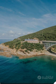 Casa che accetti canina piccola taglia