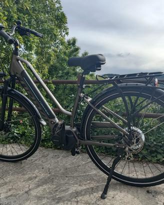 Bici Elettrica TORPADO Altea