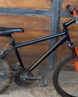 Bicicletta