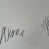 Tecnica mista - Jan Van Oost